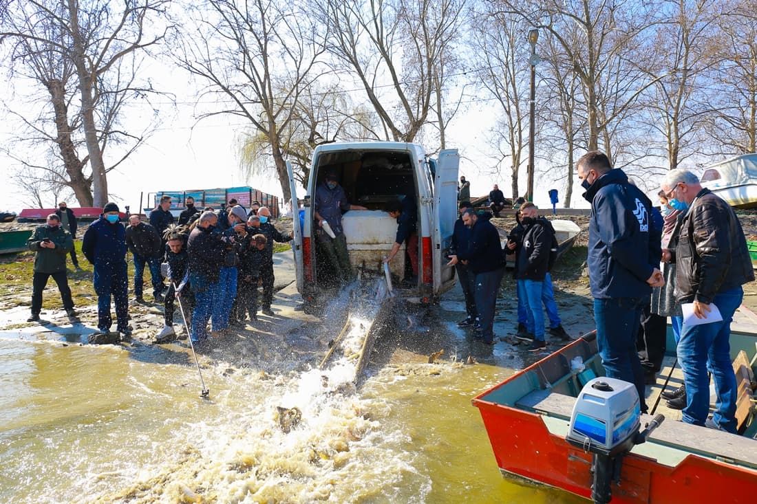 Poribljavanje na ribolovnim vodama JVP „Vode Vojvodine“