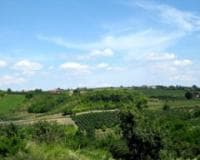 Nova Uredba o podsticajima u poljoprivredi