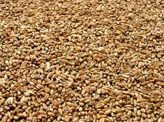 Neznatna pomeranja cena na Produktnoj berzi