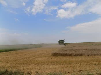 Od 10,3 miliona farmi u Evropkoj uniji, u 2016. dve trećine su bile veličine manje od pet hektara