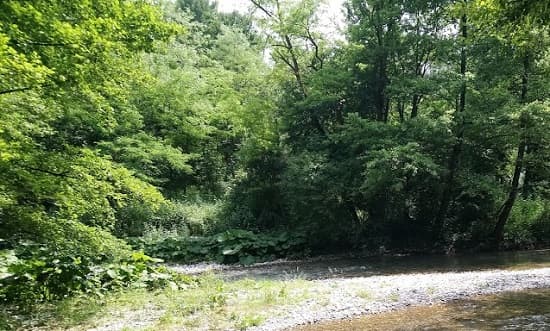 Dodela besplatnih sadnica za pošumljavanje