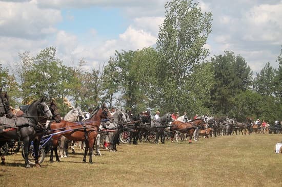 Fijakerijada „Konji naši razigrani“ okupila ljubitelje zaprega