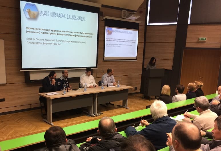 Vojvođanski odgajivači pramenke dobijaju udruženje