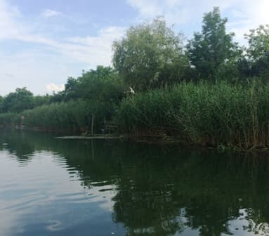 Danas je Dan Evropskog Amazona