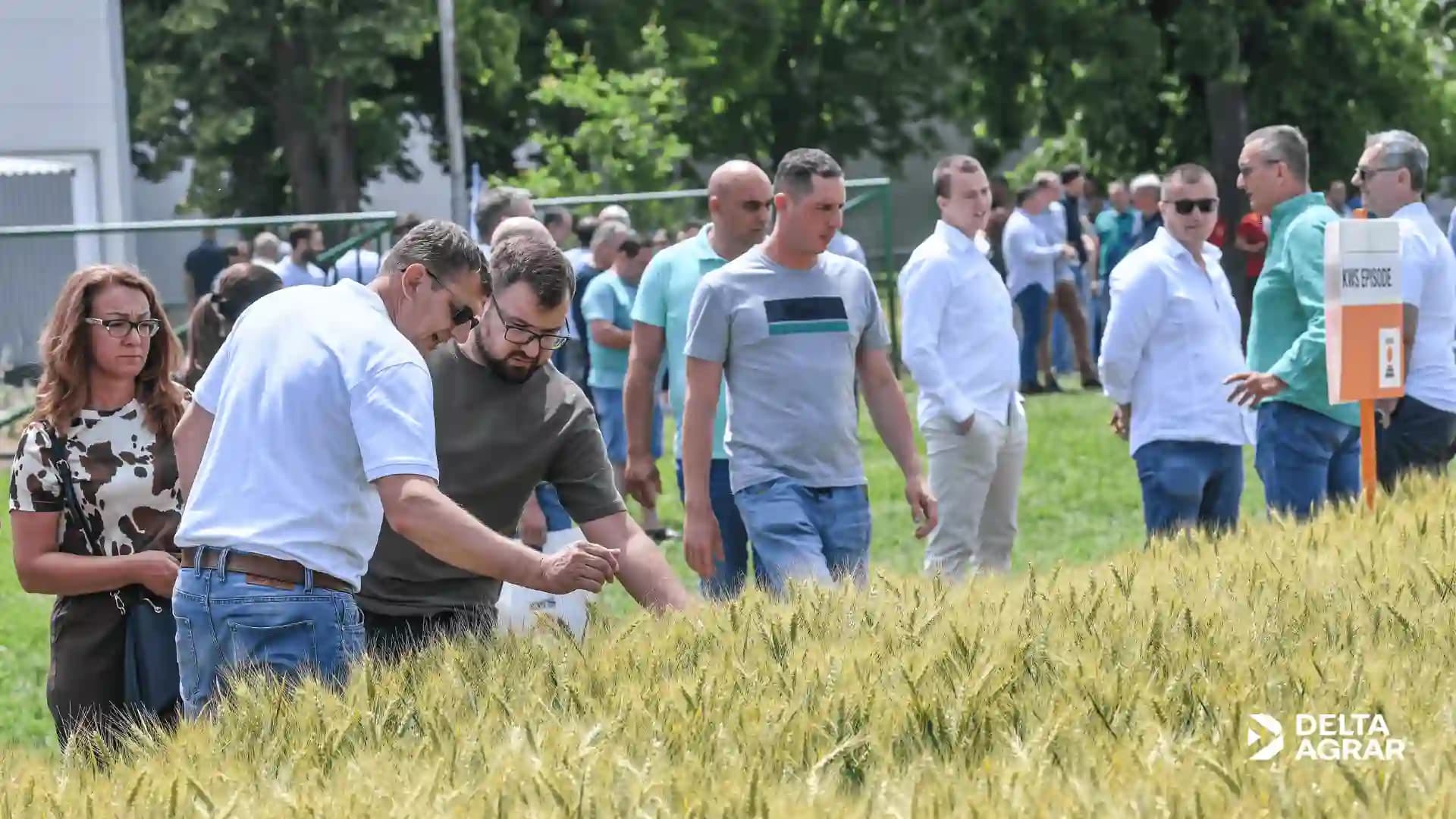 Dan polja u Somboru: stabilne sorte i vrhunska dorada u fokusu Delta Agrara