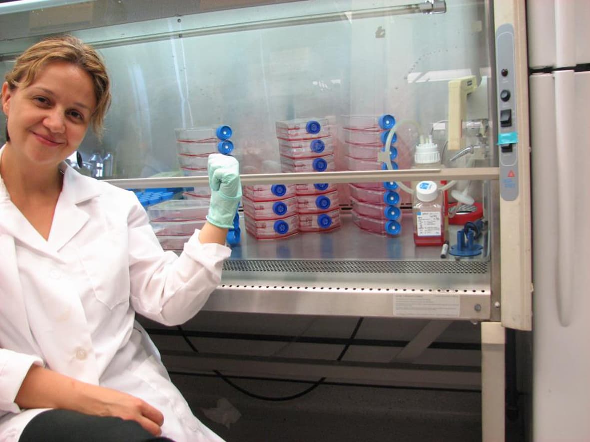 Naučnici Biosens instituta usavršavaju proizvodnju veštačkog mesa