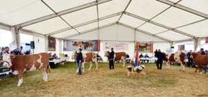 Usvojene mere za sprovođenje odgajivačkog programa 2020 – 2024. godine