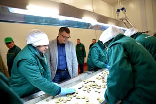 PRIORITET MINISTARSTVA RAZVOJ PRERAĐIVAČKOG SEKTORA