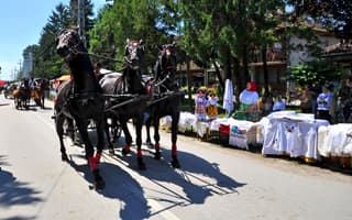 OVOG VIKENDA U BAČKOM MONOŠTORU BODROG FEST