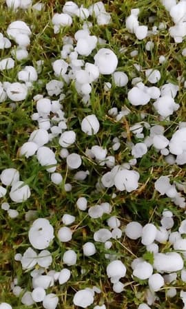 OLUJNO NEVREME PRAĆENO GRADOM POGODILO I NEKA MESTA U OPŠTINI ALIBUNAR