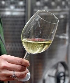 Salona vina u Kragujevcu zakazan za 20. jun