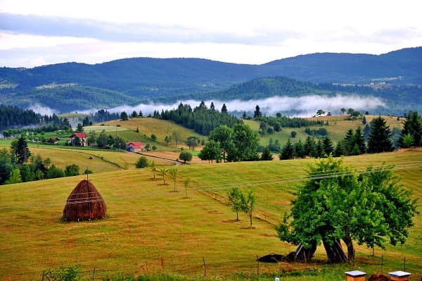 Srpski seljak dobio spomenik