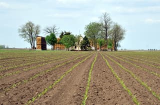 Istorijska perspektiva teorije i prakse agrara