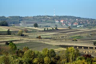 Stižu rešenja za zakup državnog zemljišta
