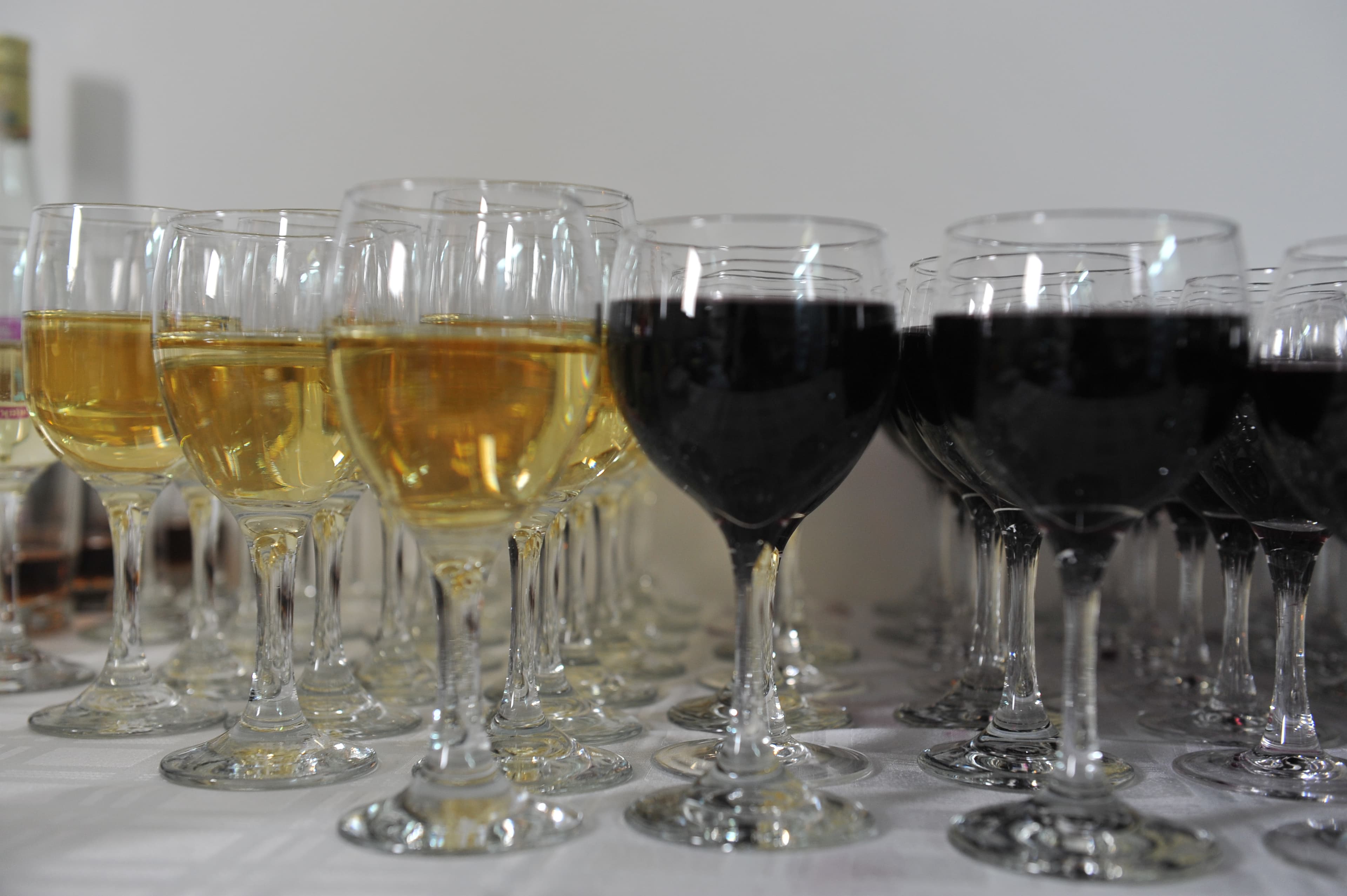 Danas počinje "Vinofest"