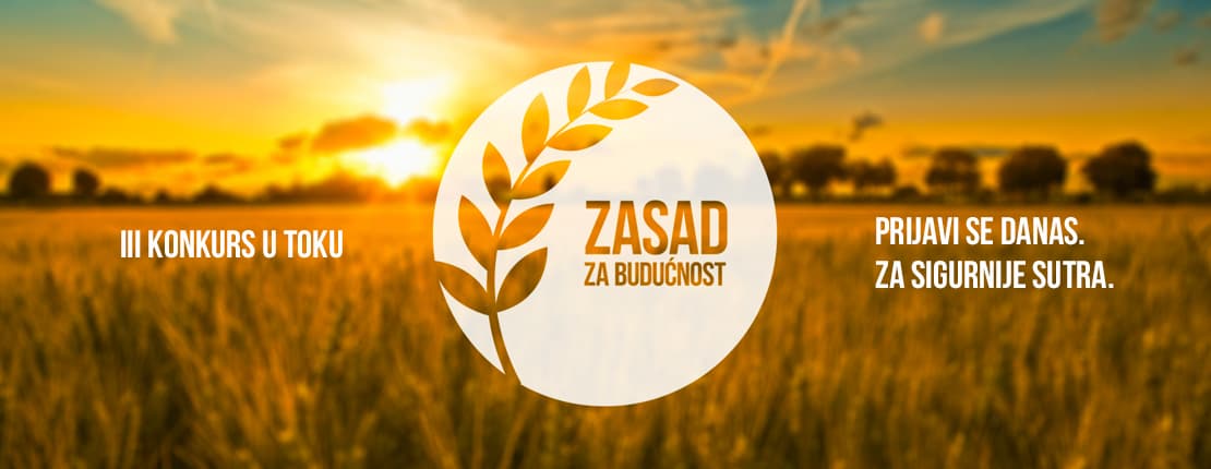 Zasad za budućnost
