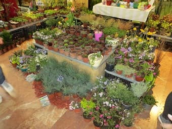 NA BEOGRADSKOM SAJMU OD 7. DO 11. APRILA MEĐUNARODNI SAJAM HORTIKULTURE