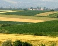 Izmenjeni rokovi za prijavu na konkurse Pokrajinskog sekretarijata za poljoprivredu