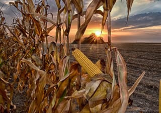 Povećan iznos pomoći evropskim farmerima