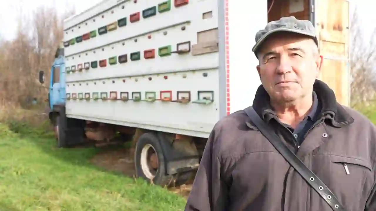 Posvećenost i ljubav prema pčelarstvu dovele do velikog uspeha (VIDEO)