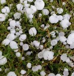 Procenjuje se šteta od nevremena u Kragujevcu i Vrnjačkoj Banji
