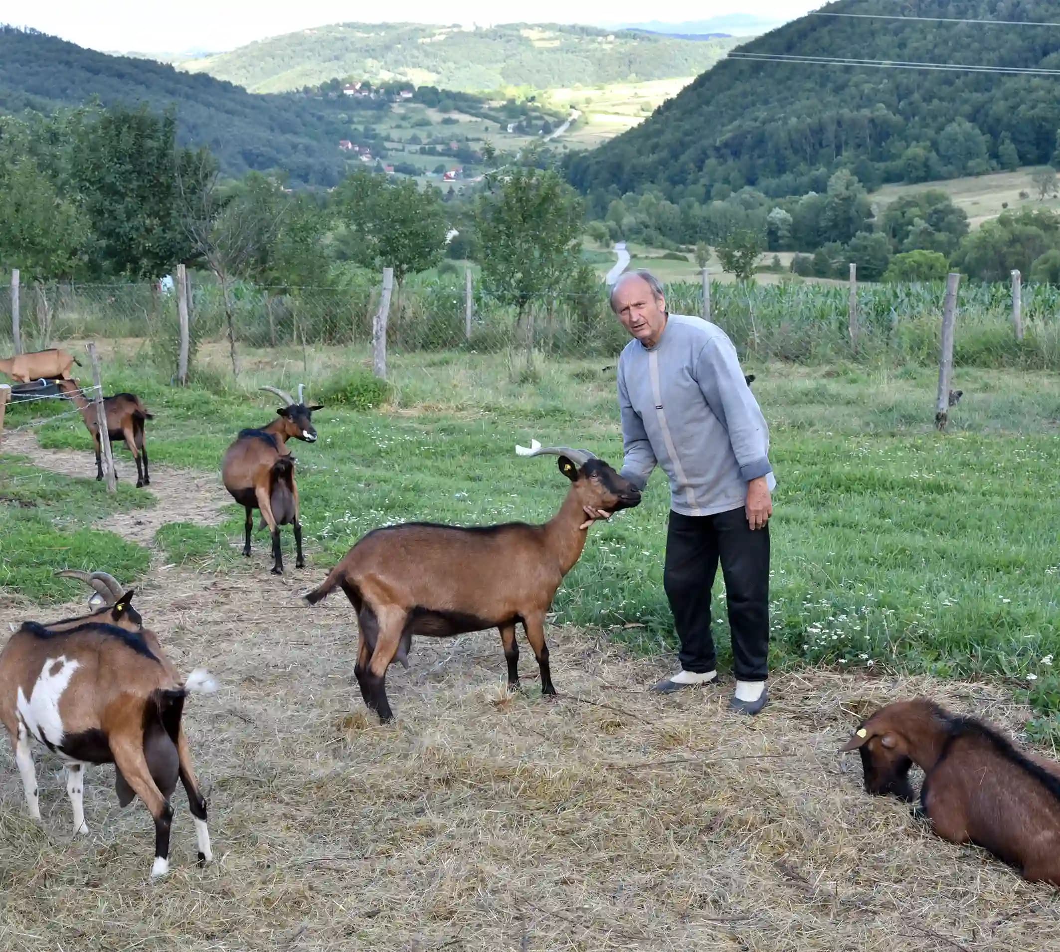 Ne radim što moram, nego što volim!