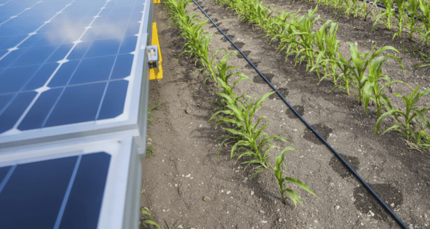 Bespovratna sredstva za projekte primene solarne energije u poljoprivrednim gazdinstvima