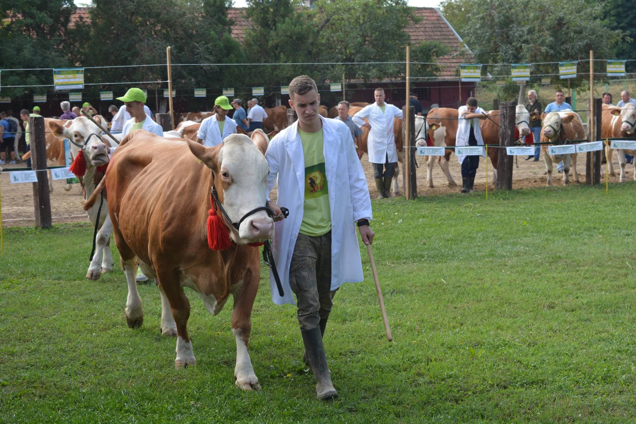 Resavski sajam 11. septembra u Svilajncu