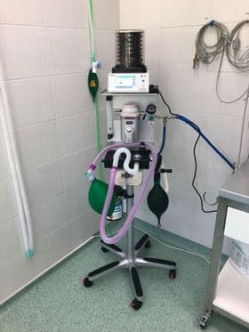 Veterinarska klinika novosadskog Poljoprivrednog fakulteta novim aparatom značajno unapredila rad