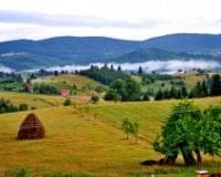 Saradnja agronomske struke na putu svile