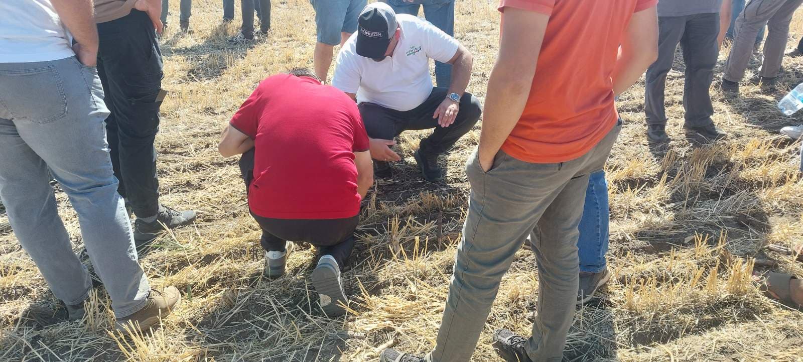 Regenerativna poljoprivreda na delu u Bikovu
