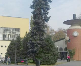 Vrnjačka Banja – biser banjskog turizma Srbije
