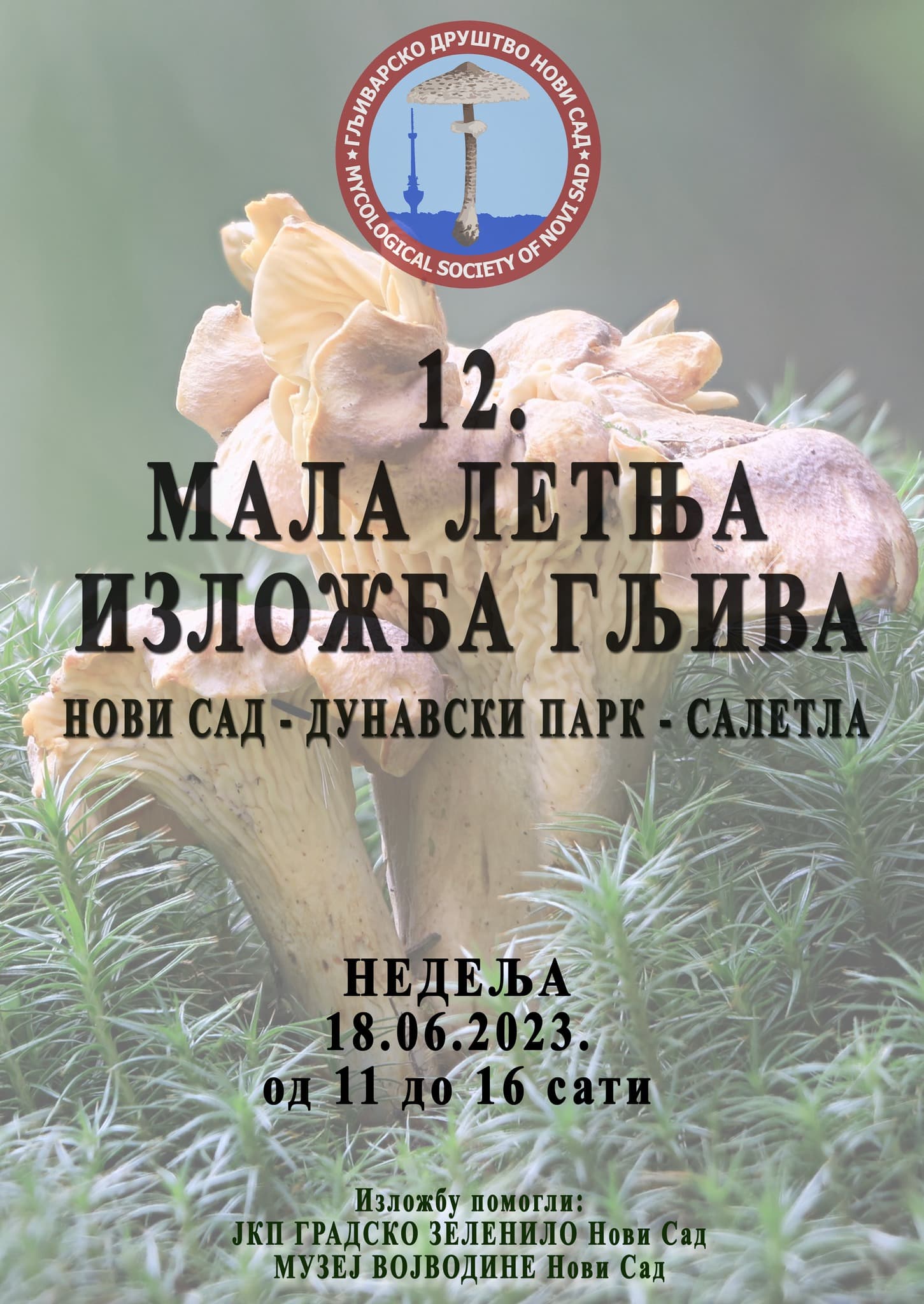 Mala letnja izložba gljiva u Novom Sadu