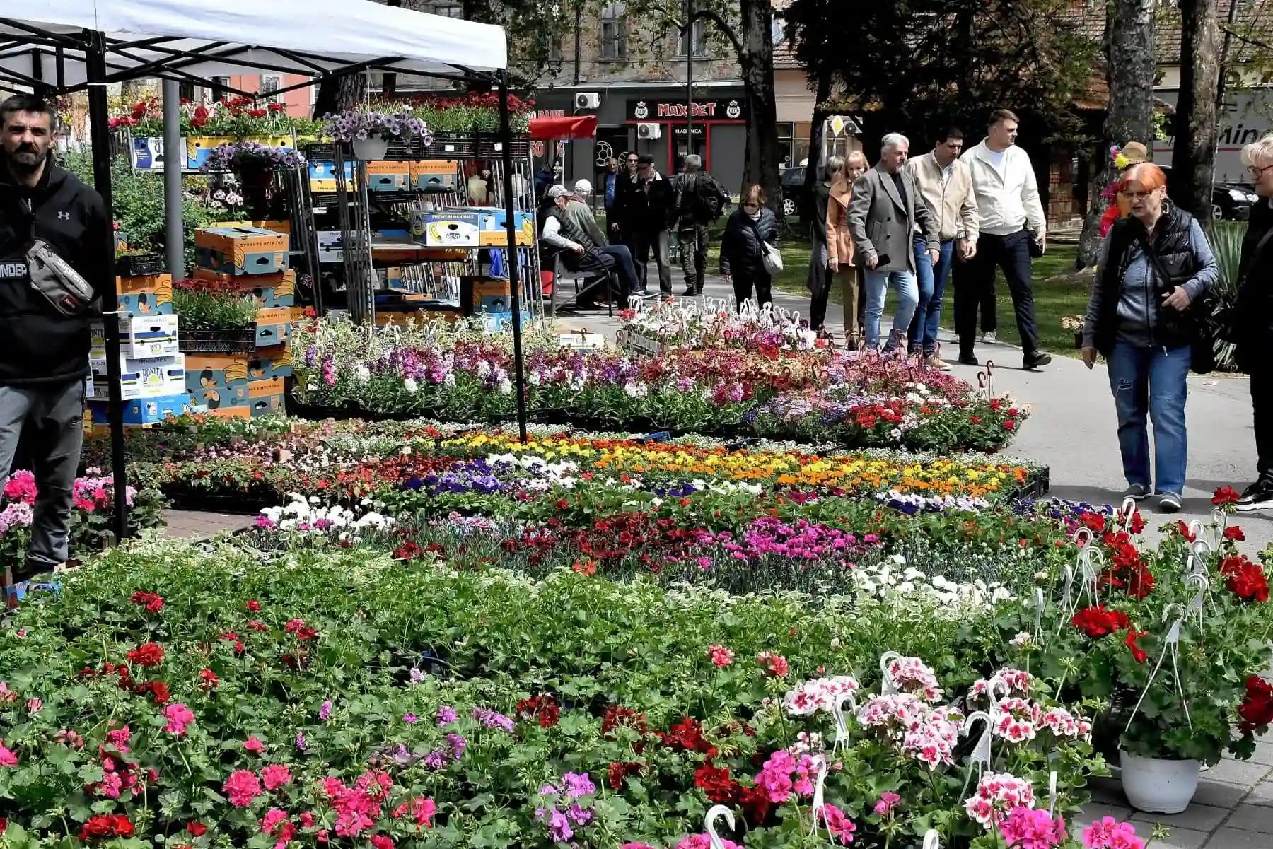 Počinje jesenji ciklus Novosadskih cvetnih pijaca