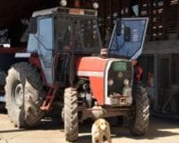 IMR prodat za 1,1 milijardu dinara