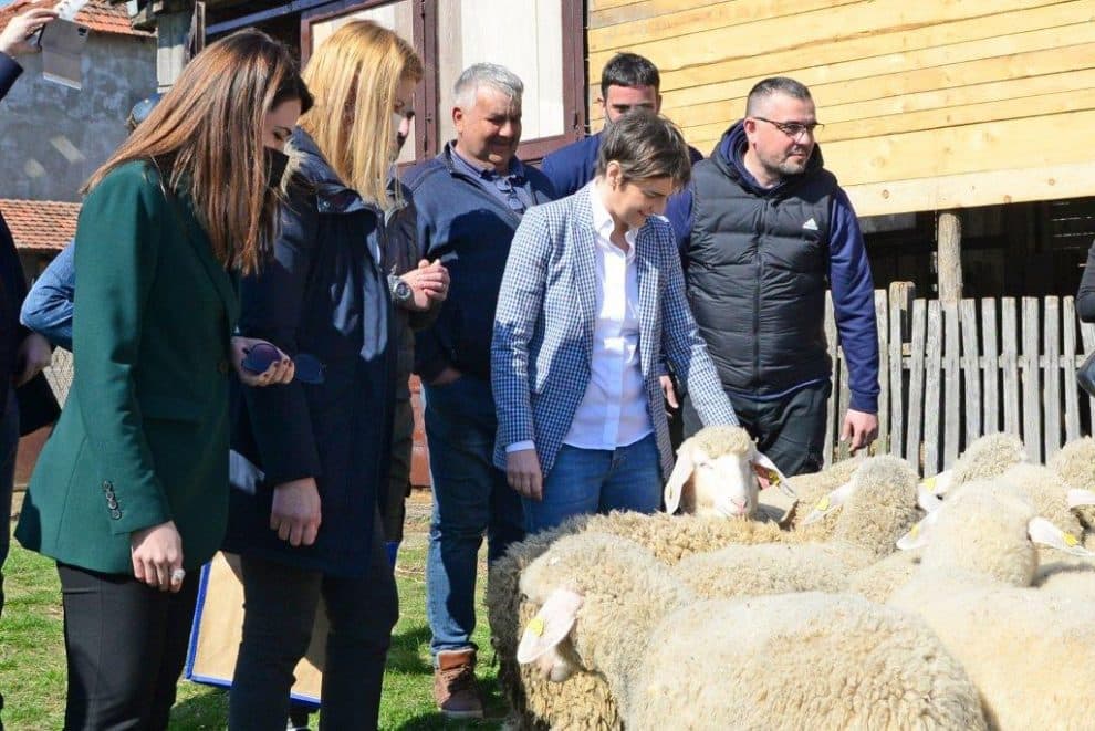 Mladi se zahvaljujući podsticajima sve više vraćaju na selo