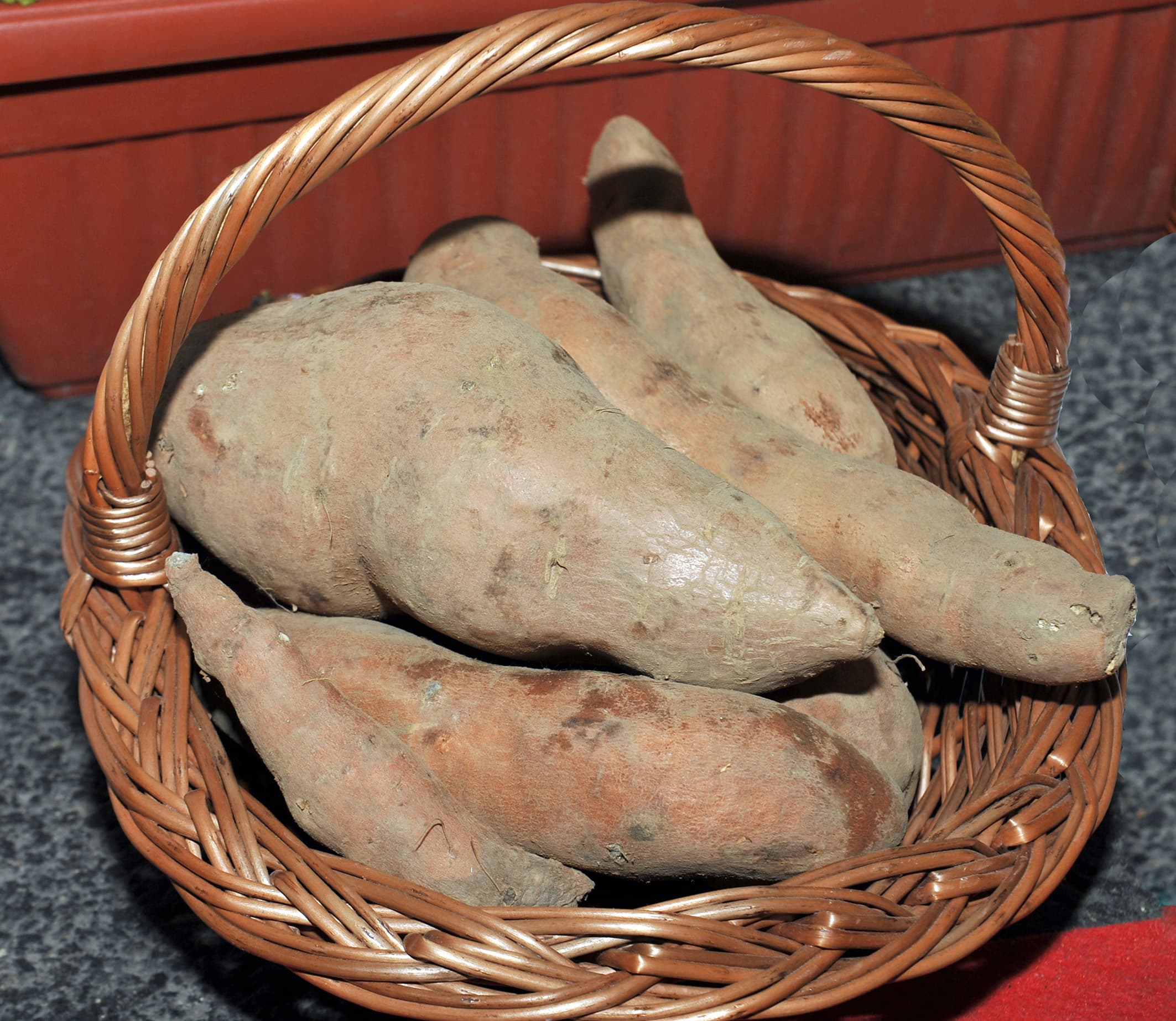 Gajenje slatkog krompira -batata unosan posao