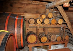 VINARIJE IZ SRBIJE NA SAJMU VINA I ALKOHOLNIH PIĆA U DIZELDORFU