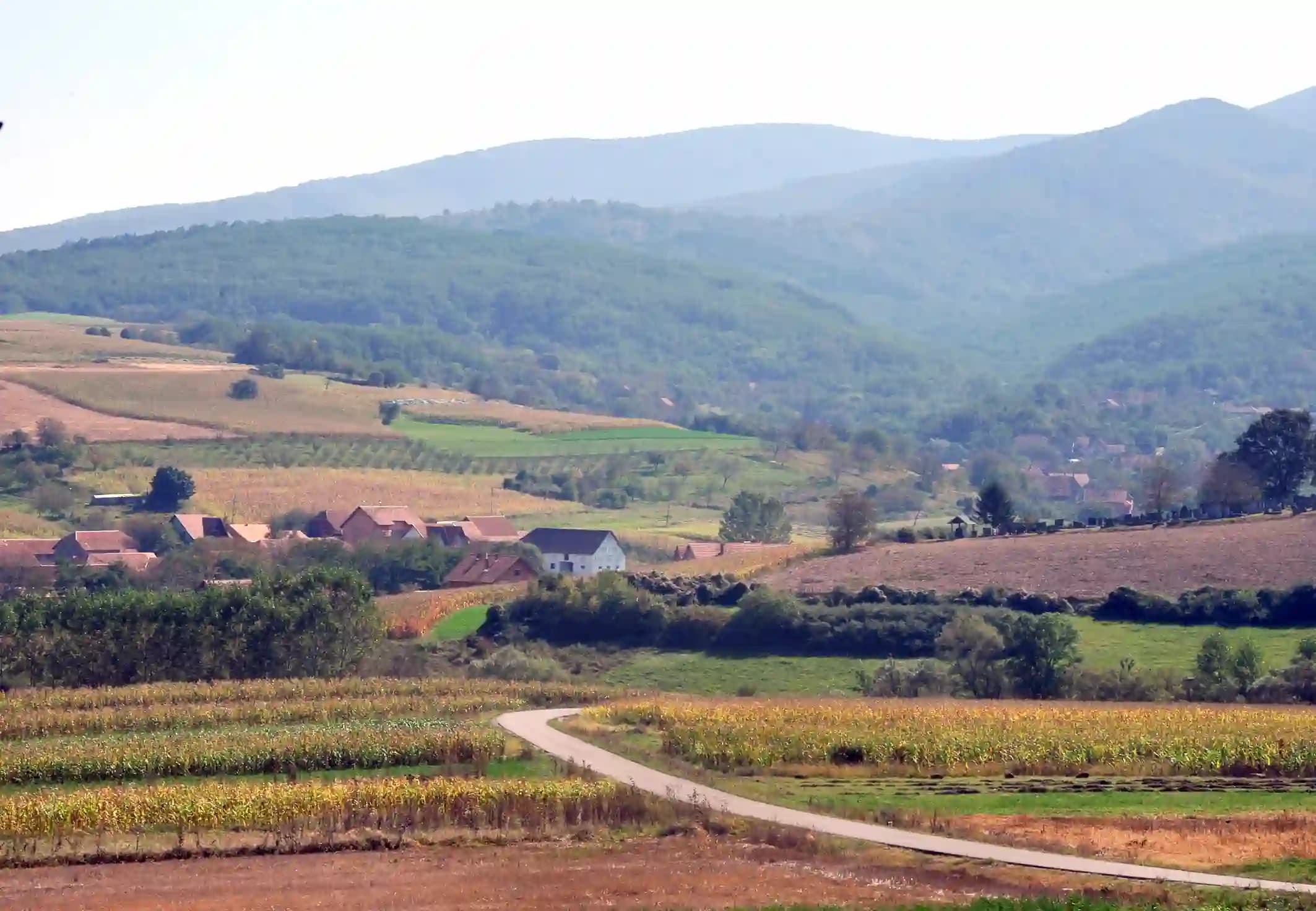 Lokalnim samoupravama 400 miliona dinara za razvoj ruralne infrastrukture