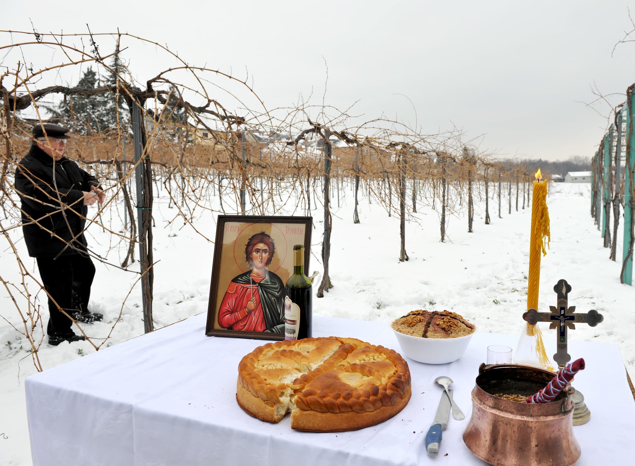 Danas je sveti Trifun zaštitnik vinogradara