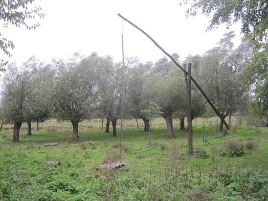 615 miliona dinara za mala i mikro preduzeća u ruralnim sredinama