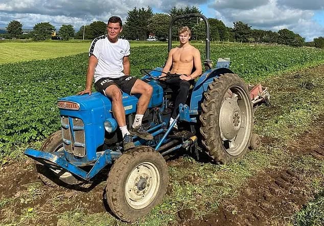 Haaland, traktor i poljoprivreda: kako izgleda fudbal na selu