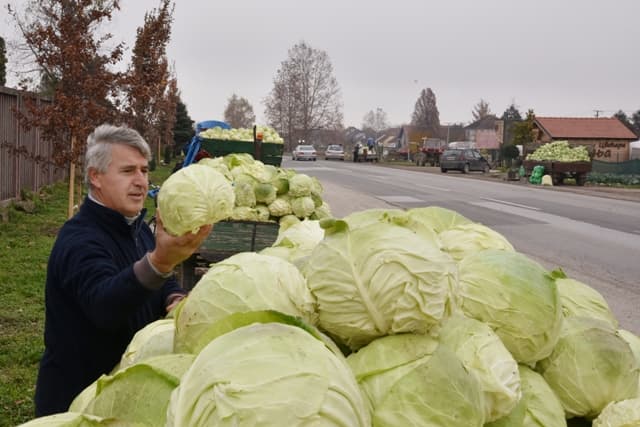 Nelojalna konkurencija guši futoški kupus