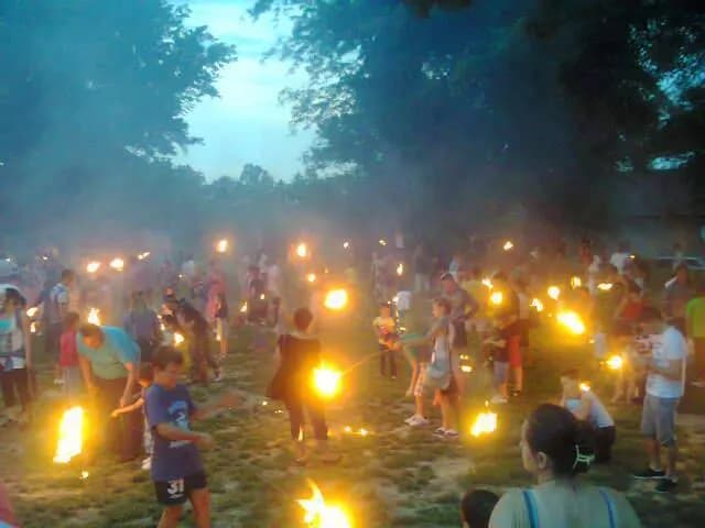 Živi Mačvanska lila
