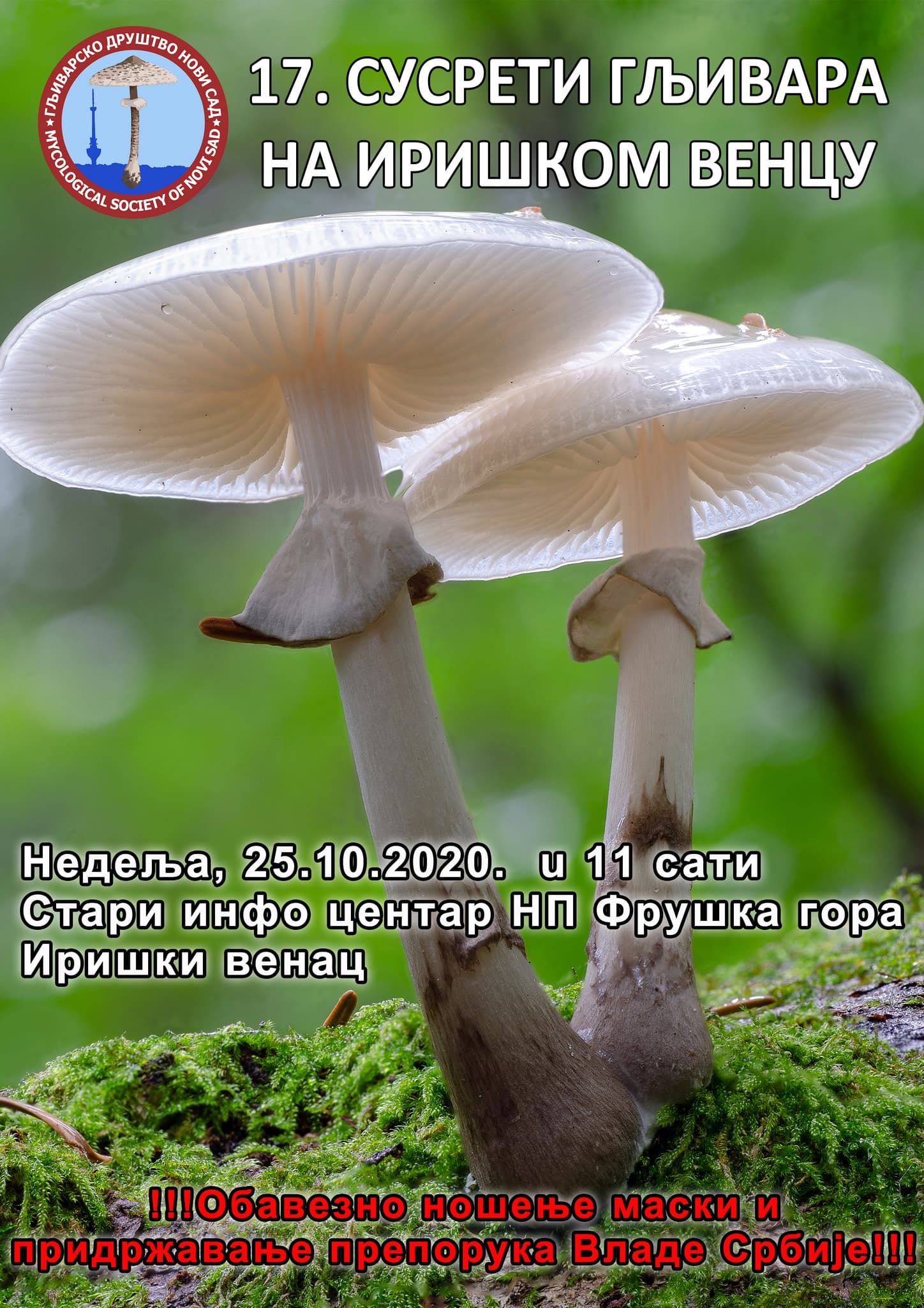 Susreti gljivara u nedelju 25. oktobra na Iriškom vencu