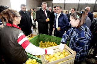 SLOVENAČKA ISKUSTVA ZNAČAJNA ZA SRPSKI AGRAR