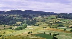 Državna revizorska institucija:Politika ruralnog razvoja ne daje očekivane rezultate
