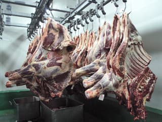 Pojačan nadzor veterinarske inspekcije u Zlatiborskom upravnom okrugu