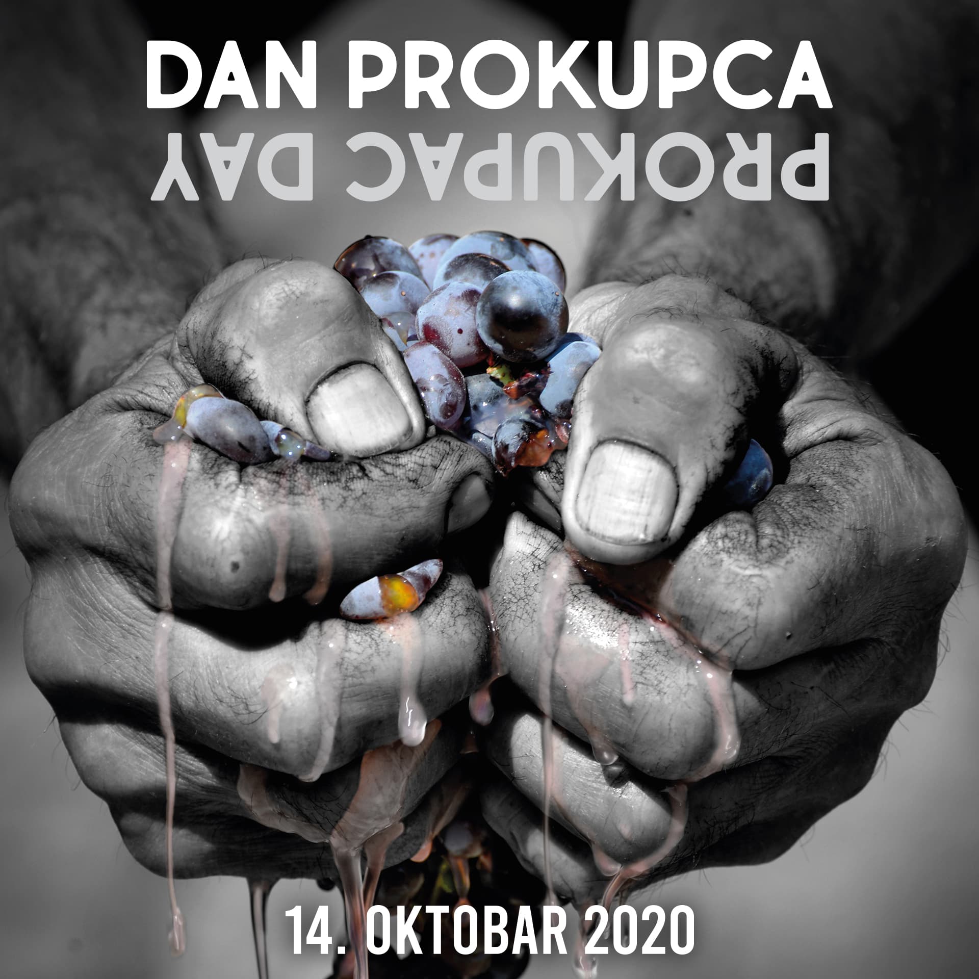 DAN PROKUPCA - PRAZNIK AUTOHTONE SRPSKE SORTE VINOVE LOZE