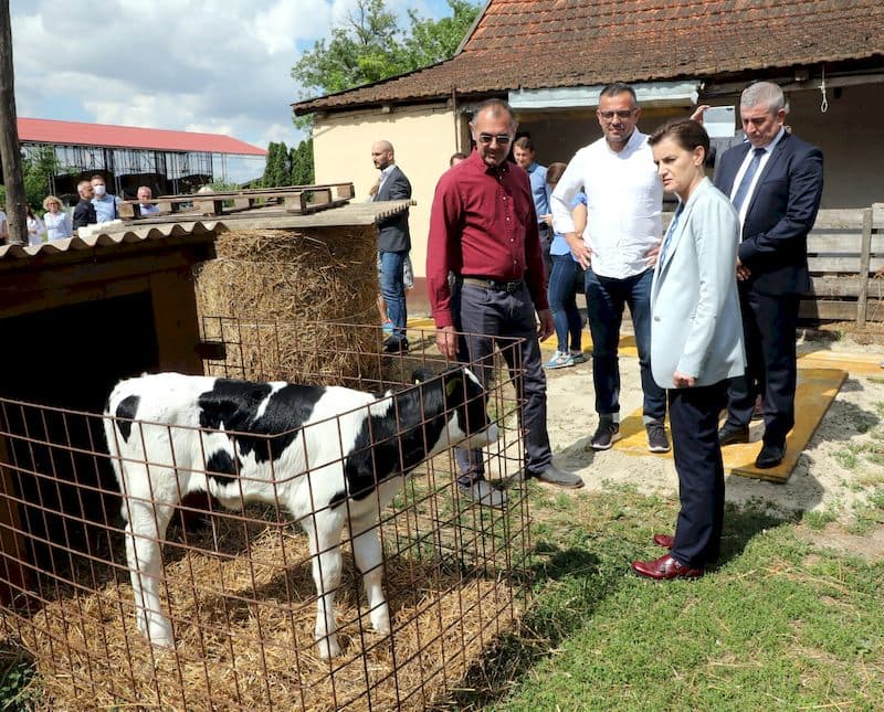 Robot za mužu je investicija koja se isplati